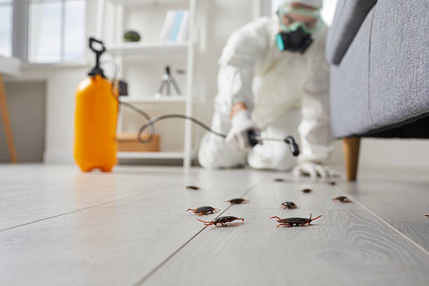 Commercial Kitchen Cockroach Control in Pittsburgh